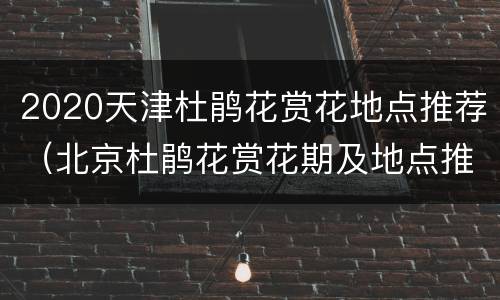 2020天津杜鹃花赏花地点推荐（北京杜鹃花赏花期及地点推荐）