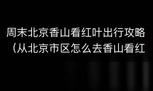 周末北京香山看红叶出行攻略（从北京市区怎么去香山看红叶）