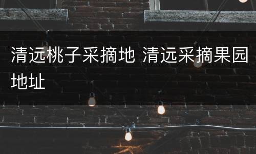 清远桃子采摘地 清远采摘果园地址