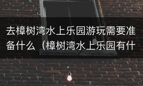 去樟树湾水上乐园游玩需要准备什么（樟树湾水上乐园有什么项目）