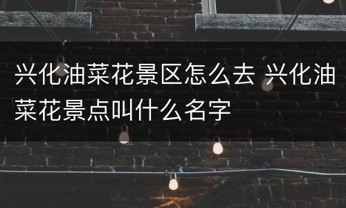 兴化油菜花景区怎么去 兴化油菜花景点叫什么名字