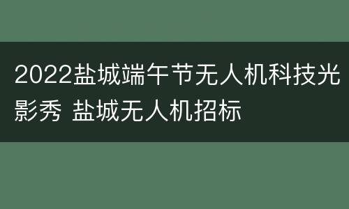 2022盐城端午节无人机科技光影秀 盐城无人机招标
