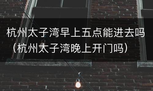 杭州太子湾早上五点能进去吗（杭州太子湾晚上开门吗）