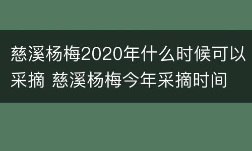 慈溪杨梅2020年什么时候可以采摘 慈溪杨梅今年采摘时间