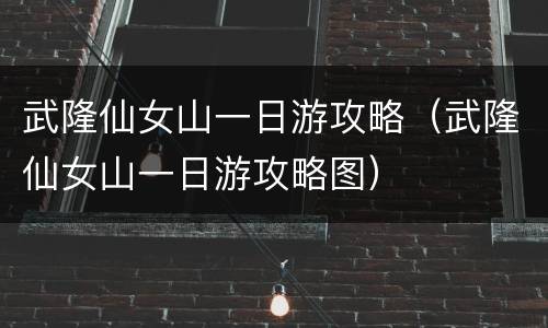 武隆仙女山一日游攻略（武隆仙女山一日游攻略图）