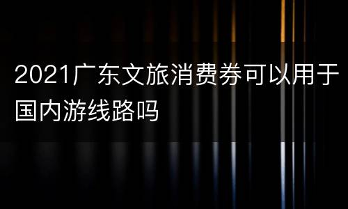 2021广东文旅消费券可以用于国内游线路吗