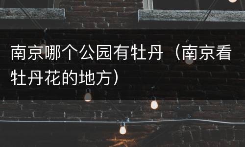 南京哪个公园有牡丹（南京看牡丹花的地方）