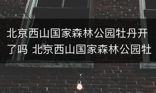 北京西山国家森林公园牡丹开了吗 北京西山国家森林公园牡丹开了吗现在