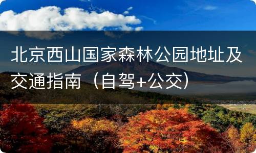 北京西山国家森林公园地址及交通指南（自驾+公交）