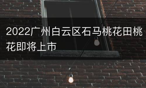 2022广州白云区石马桃花田桃花即将上市