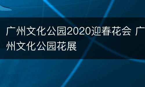 广州文化公园2020迎春花会 广州文化公园花展