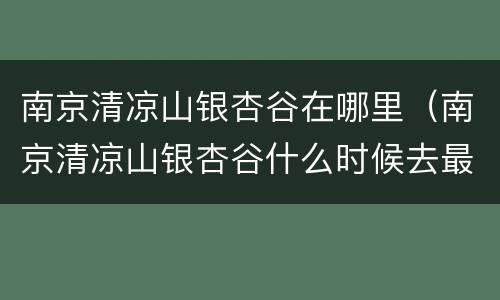 南京清凉山银杏谷在哪里（南京清凉山银杏谷什么时候去最美）