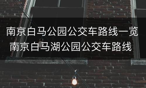 南京白马公园公交车路线一览 南京白马湖公园公交车路线