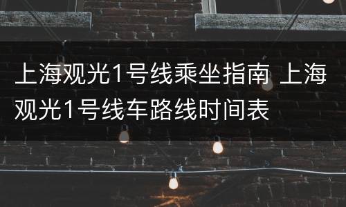 上海观光1号线乘坐指南 上海观光1号线车路线时间表