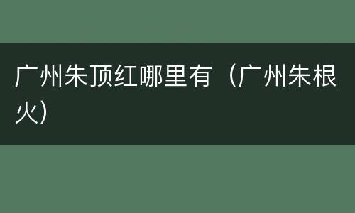 广州朱顶红哪里有（广州朱根火）