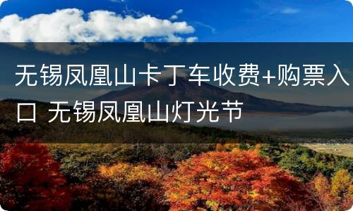 无锡凤凰山卡丁车收费+购票入口 无锡凤凰山灯光节