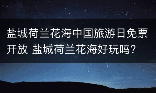 盐城荷兰花海中国旅游日免票开放 盐城荷兰花海好玩吗?