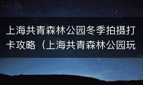 上海共青森林公园冬季拍摄打卡攻略（上海共青森林公园玩多久）