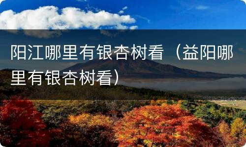 阳江哪里有银杏树看（益阳哪里有银杏树看）