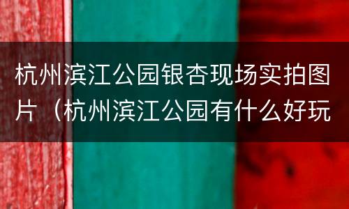 杭州滨江公园银杏现场实拍图片（杭州滨江公园有什么好玩的地方）