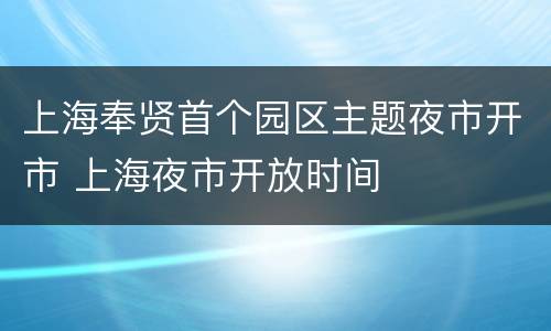 上海奉贤首个园区主题夜市开市 上海夜市开放时间