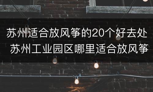苏州适合放风筝的20个好去处 苏州工业园区哪里适合放风筝