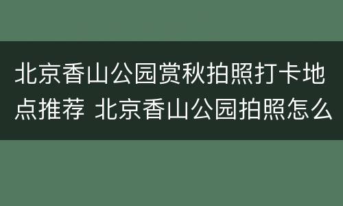 北京香山公园赏秋拍照打卡地点推荐 北京香山公园拍照怎么拍好看