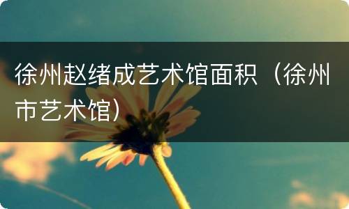 徐州赵绪成艺术馆面积（徐州市艺术馆）