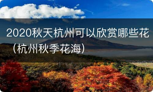 2020秋天杭州可以欣赏哪些花（杭州秋季花海）