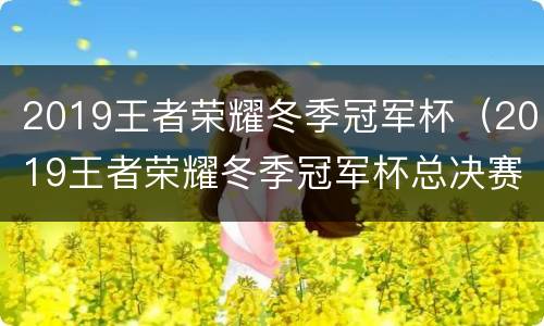 2019王者荣耀冬季冠军杯（2019王者荣耀冬季冠军杯总决赛）