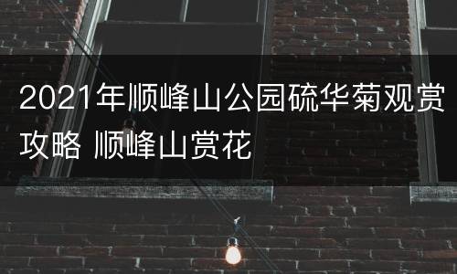 2021年顺峰山公园硫华菊观赏攻略 顺峰山赏花