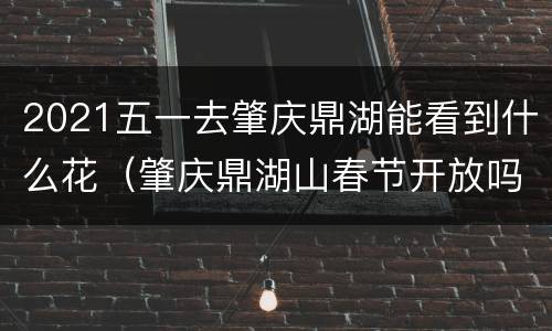 2021五一去肇庆鼎湖能看到什么花（肇庆鼎湖山春节开放吗?）