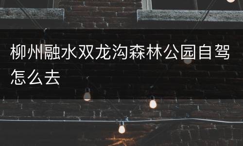 柳州融水双龙沟森林公园自驾怎么去