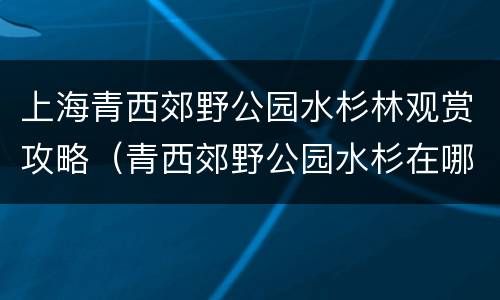 上海青西郊野公园水杉林观赏攻略（青西郊野公园水杉在哪里）