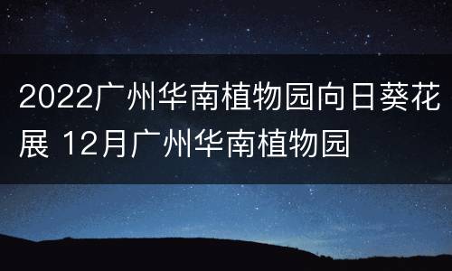 2022广州华南植物园向日葵花展 12月广州华南植物园
