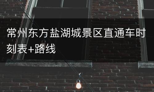 常州东方盐湖城景区直通车时刻表+路线