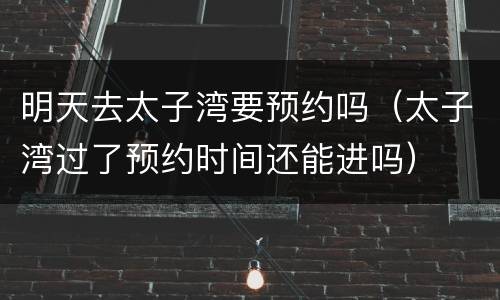 明天去太子湾要预约吗（太子湾过了预约时间还能进吗）
