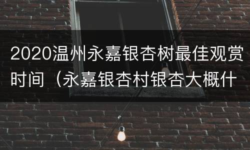 2020温州永嘉银杏树最佳观赏时间（永嘉银杏村银杏大概什么时候最漂亮）