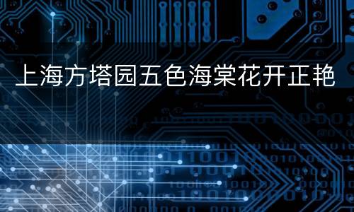 上海方塔园五色海棠花开正艳
