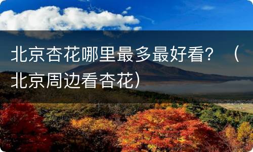 北京杏花哪里最多最好看？（北京周边看杏花）