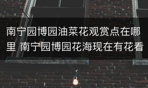 南宁园博园油菜花观赏点在哪里 南宁园博园花海现在有花看吗