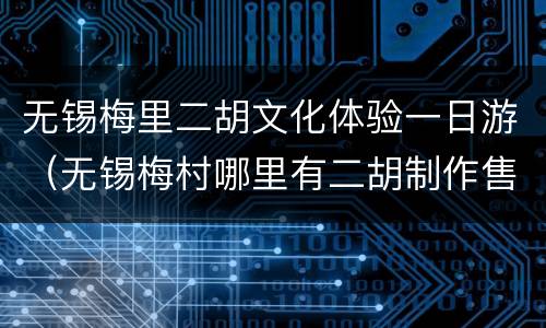 无锡梅里二胡文化体验一日游（无锡梅村哪里有二胡制作售卖点）