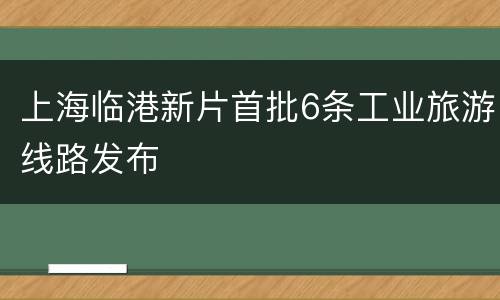 上海临港新片首批6条工业旅游线路发布