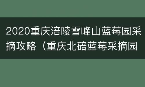 2020重庆涪陵雪峰山蓝莓园采摘攻略（重庆北碚蓝莓采摘园）
