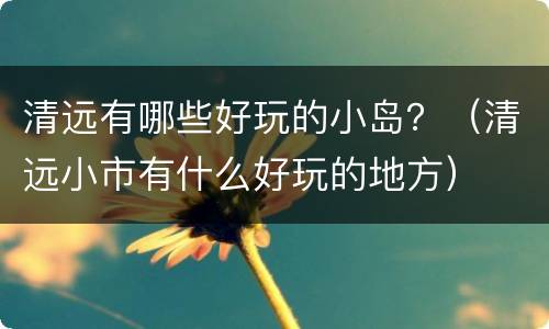 清远有哪些好玩的小岛？（清远小市有什么好玩的地方）