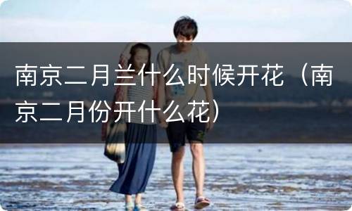 南京二月兰什么时候开花（南京二月份开什么花）
