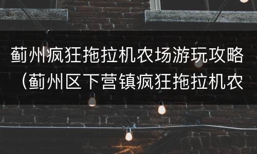 蓟州疯狂拖拉机农场游玩攻略（蓟州区下营镇疯狂拖拉机农场）