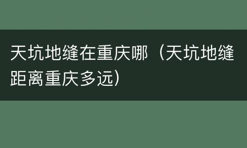 天坑地缝在重庆哪（天坑地缝距离重庆多远）
