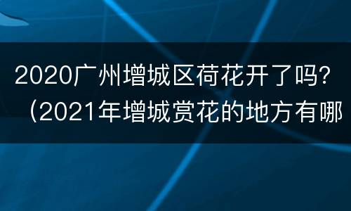 2020广州增城区荷花开了吗？（2021年增城赏花的地方有哪些）