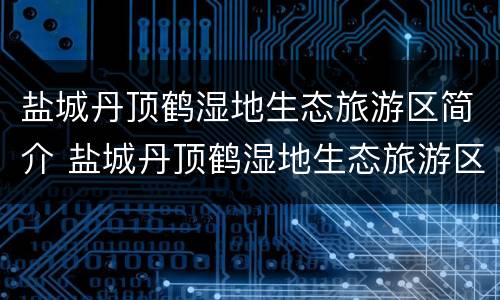 盐城丹顶鹤湿地生态旅游区简介 盐城丹顶鹤湿地生态旅游区简介资料